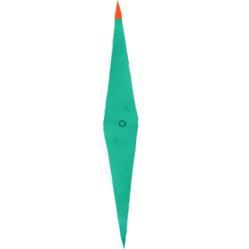 compass needle