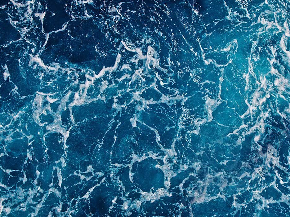 WE'RE <br class="break768">OCEAN <br class="break768">FRIENDLY